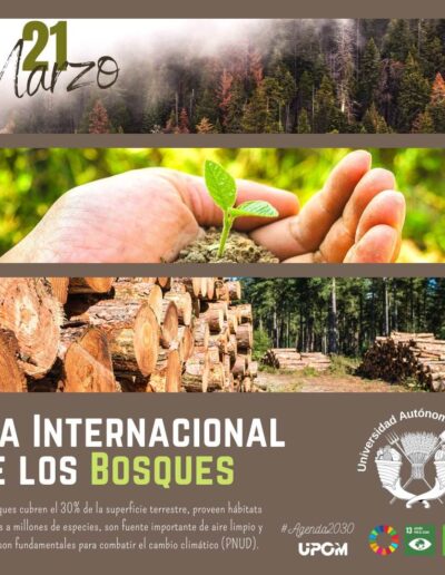 Día internacional de los bosques